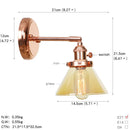 Axyaa Nordic Rose Gold Wall Sconce LED Wall Lamp Vintage Edison Light