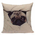 Axyaa Pug Animal Decor Cushion Cover Home Decorative Pillow 45x45cm