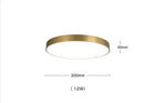 Axyaa Nordic Copper LED Ceiling Lights - Modern Minimalist Acrylic Ceiling Lamps
