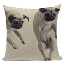 Axyaa Pug Animal Decor Cushion Cover Home Decorative Pillow 45x45cm