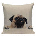Axyaa Pug Animal Decor Cushion Cover Home Decorative Pillow 45x45cm