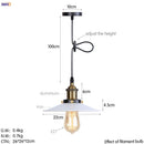 Axyaa Retro LED Pendant Light | Silver Vintage Industrial Hanging Lamp