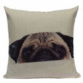 Axyaa Pug Animal Decor Cushion Cover Home Decorative Pillow 45x45cm