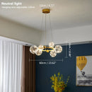 Axyaa Clear Glass Ball Circle Chandelier: Modern Gold LED Lighting for Romantic Living Room