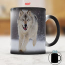 Axyaa King of Wolf Ceramic Color Changing Coffee Mug 350ml Animal Lover Gift