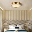 Axyaa Brass LED Modern Ceiling Light Flush Mount Home Lighting Living Room