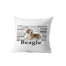 Axyaa Dachshund Dog Velvet Cushion Cover for Living Room Sofa - Home Decor Pillowcase