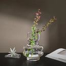 Axyaa Glass Vase Hydroponic Flower Pot Modern Home Desk Decoration Feature