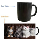 Axyaa Heat Reveal Kittens Cats Fluffy Mugs - Cold Hot Sensitive Milk Tea Coffee