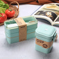 Axyaa 3-Layer Wheat Straw Bento Box | Healthy Material Lunch Container