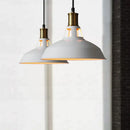 Axyaa Modern LED Pendant Light for Home and Restaurant Decor