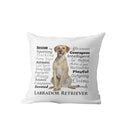 Axyaa Dachshund Dog Velvet Cushion Cover for Living Room Sofa - Home Decor Pillowcase