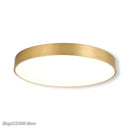 Axyaa Modern Gold Acrylic LED Ceiling Light - Ultra-thin Surface Lamp for Living Room