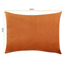 Velvet Cushion Cover for Sofa Living Room, 30x50cm Decorative Pillows by Axyaa