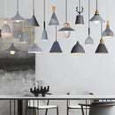 Axyaa Gray Industrial Pendant Light for Living Room Luminaire
