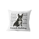 Axyaa Dachshund Dog Velvet Cushion Cover for Living Room Sofa - Home Decor Pillowcase