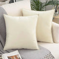 Velvet Cushion Cover 45*45 Nordic Home Decor Axyaa Pilllowcase
