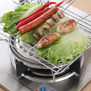 Axyaa Stainless Steel Mini Gas BBQ Grill for Outdoor Cooking
