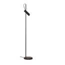 Axyaa Modern Minimalist LED Floor Lamp for Bedroom, Living Room & Sofa-Elegant Indoor Lighting
