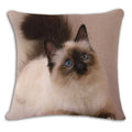 Axyaa Red Black Cat Print Cushion Cover 45X45CM for Home Decor