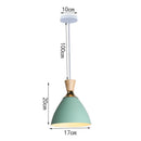Nordic Style E27 LED Chandelier by Axyaa - Modern Pendant Light for Home Decor