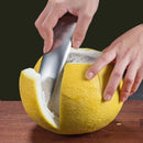 Axyaa Stainless Steel Carrot Peeler Zester Slicer for Home and Kitchen