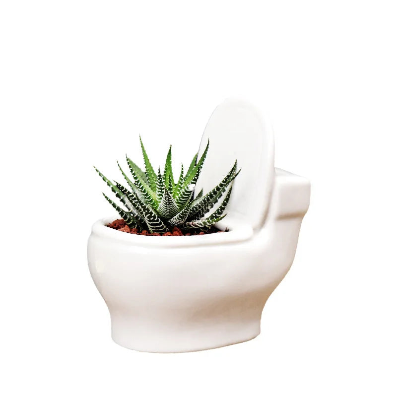 Axya Ceramic Toilet Shape Flower Pot for Home Decoration