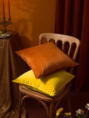 Velvet Decorative Pillow Cover 30x50cm for Living Room Sofa - Axyaa Palette