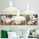 Axyaa Colorful LED E27 Pendant Light for Modern Home Improvement