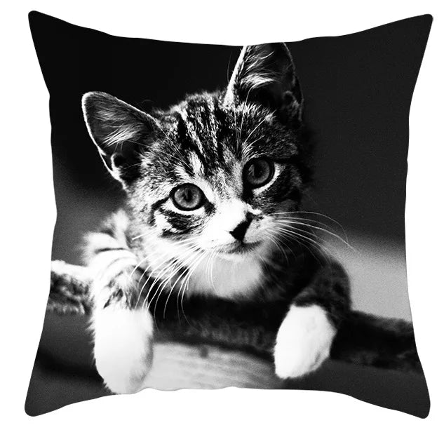 Axyaa Cartoon Dog Cat Printed Cushion Cover for Kid Room Decor 45X45CM