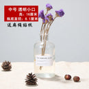 Axyaa Nordic Glass Vase, Hydroponic Terrarium for Modern Home Decor