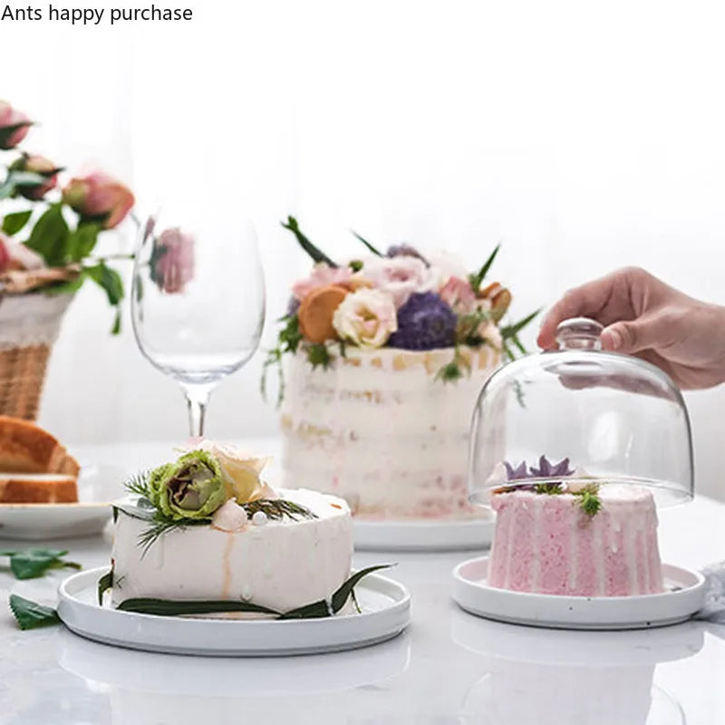 Axya Glass Cake Pan with Lid Display Stand for Desserts and Snacks