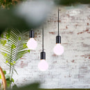 Axyaa 3-Light Iron Chandelier Pendant for Living Room Kitchen Restaurant