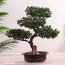 Axya Festival Pine Tree Bonsai: Lifelike Home Office Decor DIY Ornament