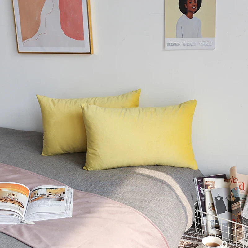 Velvet Cushion Cover for Sofa Living Room, 30x50cm Decorative Pillows by Axyaa