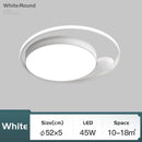 Axyaa Modern Black LED Ceiling Lights Chandelier for Living Room Bedroom Home Décor