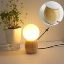 Axyaa Glass Table Lamp with LED Bulb and Button Switch
