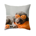 Axyaa Dog Print Polyester Cushion Cover for Sofa Living Room 45X45CM