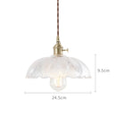Axyaa Nordic Glass Pendant Light for Bar Cafe Bedroom Restaurant, Retro Vintage Hanging Lamp