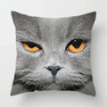 Axyaa Cat Face Print Throw Pillow Cover for Home Sofa Decor