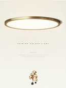 Axya Modern Minimalist Copper Ceiling Light for Aisles and Corridors