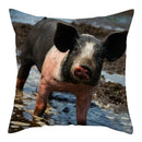 Axyaa Pig Oil Painting Cushion Cover Home Decor Sofa Chair 45X45cm