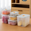 Axyaa Food Storage Box Grains & Spices Container Organizer
