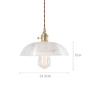 Axyaa Nordic Glass Pendant Light for Bar Cafe Bedroom Restaurant, Retro Vintage Hanging Lamp