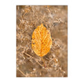 Nordic Maple Leaf Wall Art Print by Axyaa for Modern Living Room Decor