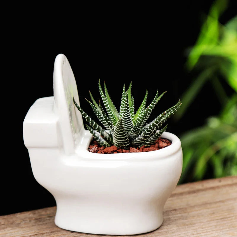 Axya Ceramic Toilet Shape Flower Pot for Home Decoration
