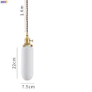 Axyaa Nordic Ceramic Pendant Lights Modern LED Living Room Lighting Fixtures