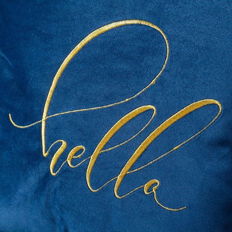 Soft Velvet Embroidered Cushion Cover by Axyaa