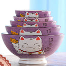Axya Lucky Cat Ceramic Soup Salad Bowl Set