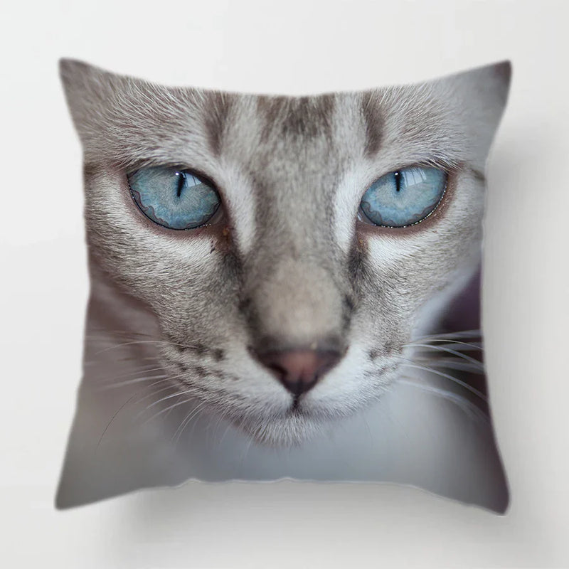 Axyaa Cat Face Print Throw Pillow Cover for Home Sofa Decor